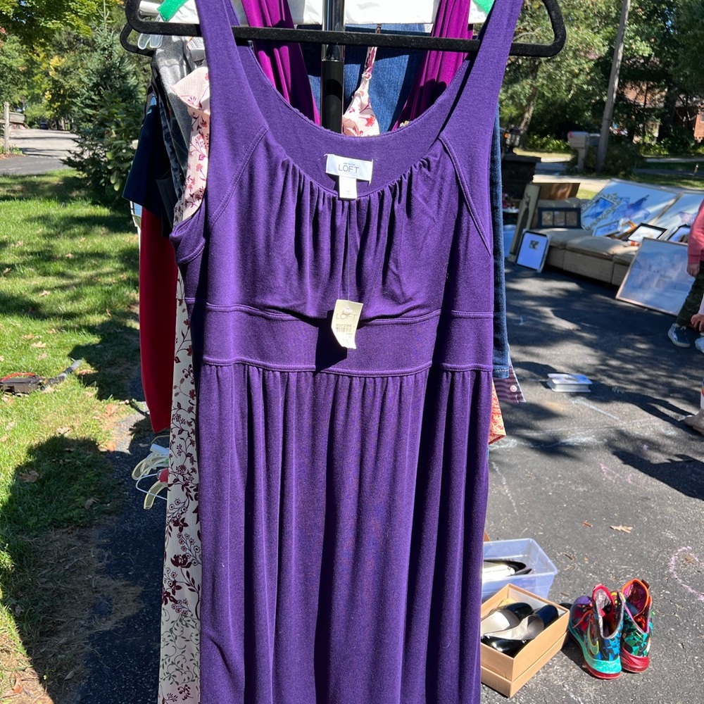 Loft Eggplant Dress